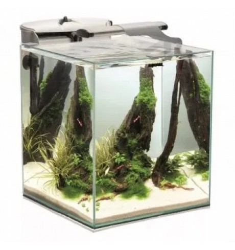 Akvariumas AQUAEL Shrimp Set DUO Day&Night 35, 49 l. (baltas)